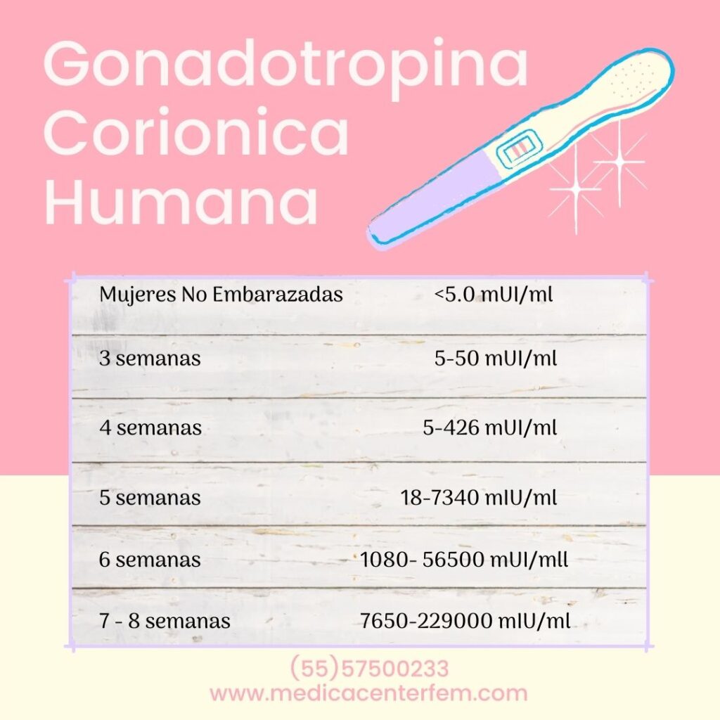 hormona-gonadotropina-corionica-humana