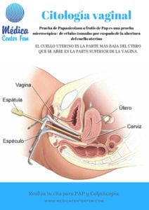 citologia vaginal