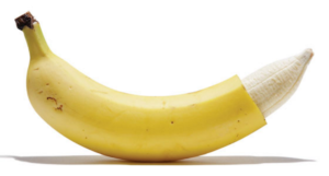 types of penis